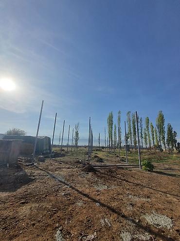 Сварка: Сварка | Навесы, Заборы, оградки Гарантия, Бесплатная смета, Монтаж — 5