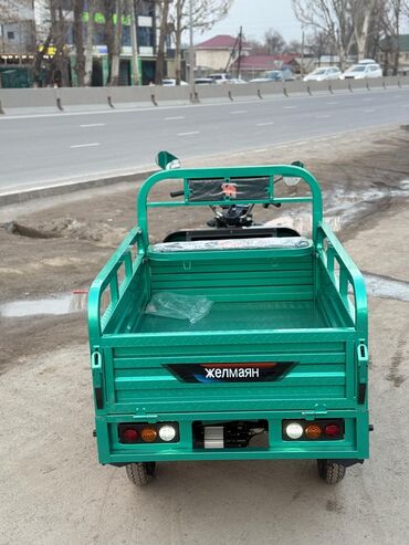 Мотороллеры муравей: Мотороллер муравей Электро, 80 км, 300 - 599 кг, Новый — 8