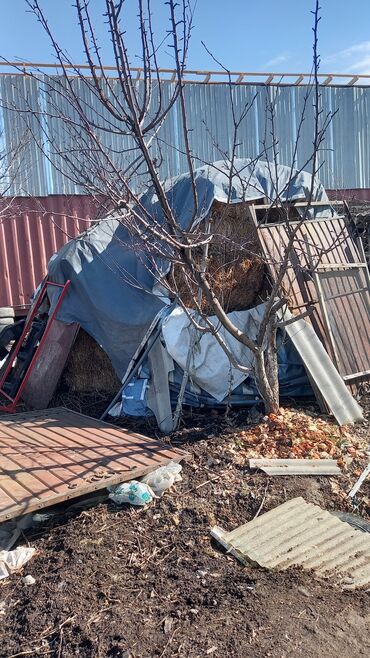 беде чоп прес: Чоп саттылат 200 сомдон район Дордой