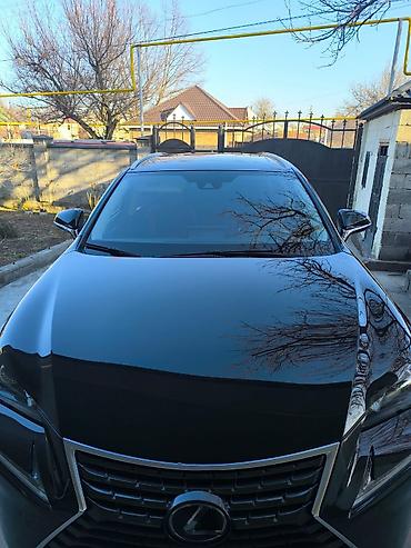 Lexus: Lexus NX: 2019 г., 2 л, Автомат, Бензин, Внедорожник — 4