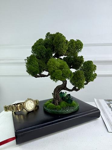 Другой декор и предметы интерьера: Декоративное настольное деревце Бонсай из стабилизированного мха- — 6