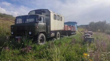 бизнес производство: Продается действующая пасека! В комплекте: Газ-66(кунг), платформа на