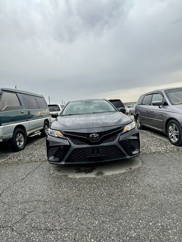 тайота спакио: Toyota Camry: 2019 г., 2.5 л, Автомат, Бензин, Седан