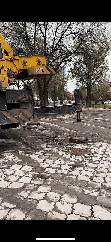 Услуги автокрана: Стрела 43 м, 80 т — 4