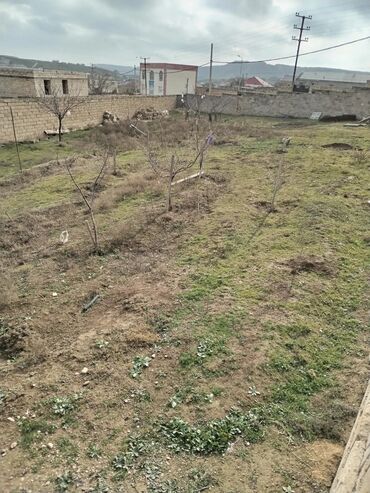 Torpaq sahələrinin satışı: 10000 sot, Tikinti, Mülkiyyətçi, Bələdiyyə — 10