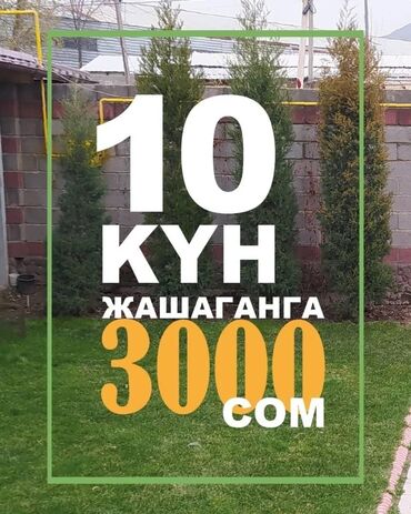 Посуточная аренда квартир: Хостел "Бинур". 3 тысячи сомов за 10 дней. 750 сомов в сутки, если — 23