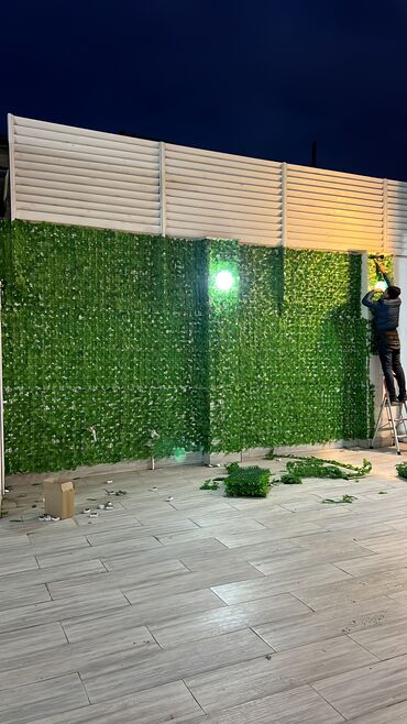 Digər ev dekoru: Kv 25 azn baslayan yasil dekorlar
Her olcude hazrlanr 
Depodan satis — 25