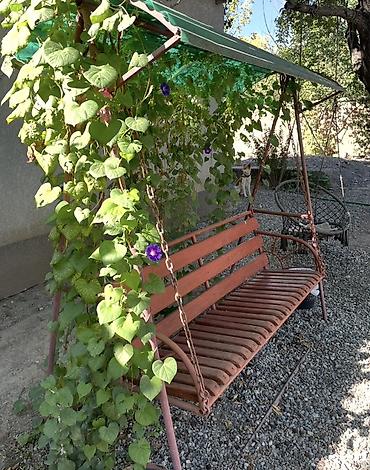 kg house: Уютный одноэтажный дом с большим закрытым двором и зелёным садом - — 2