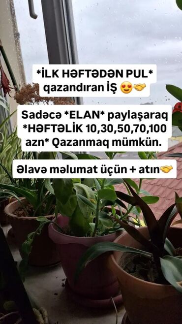 Строительные специальности: Elan paylaşaraq həftəlik gəlir əldə etmək imkanı təklif edən iş. Bu iş