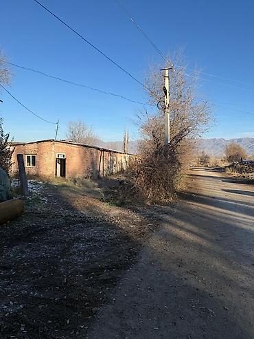 Продажа складов и мастерских: Продам Кошару, продам участок, на красной книге с прилегающей — 1