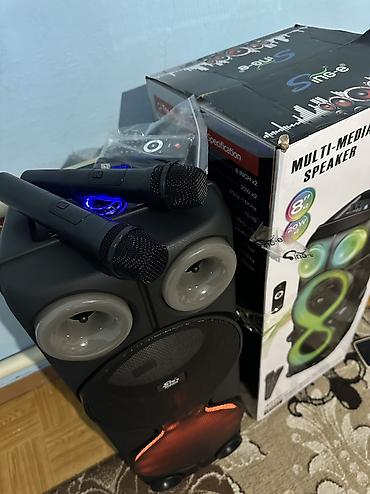 Динамики и колонки: Портативная акустическая система Sing-e ZQS1533 с подсветкой - — 9