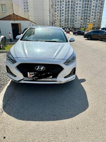 сонату: Hyundai Sonata: 2020 г., 2 л, Автомат, Газ, Седан