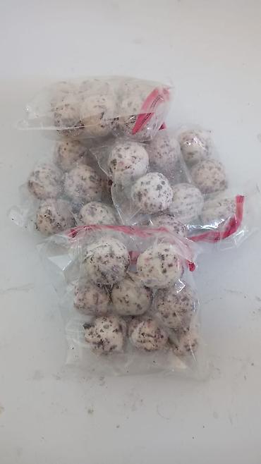 Герани и пеларгонии: Сортовой герандар сатылат. Баасы келишим турдо 300 сомдон жогору. - — 16