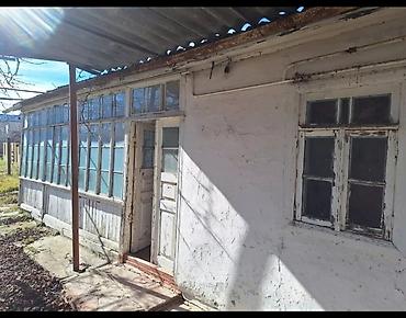 bine sovxoz: 2 otaqlı, 56 kv. m, Kredit yoxdur, Yeni təmirli — 2