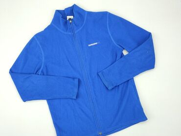 koszula na bluze: Sweatshirt, 12 years, 146-152 cm, condition - Good