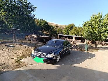двери w210: Mercedes-Benz S-Class: 1998 г., 5 л, Автомат, Седан — 2