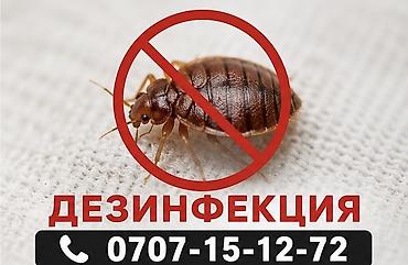 клей от мышей: Дезинфекция, дезинсекция, | Вирусы, микробы, Клопы, Блохи, | Подвал, погреб, Квартиры, Дома — 1