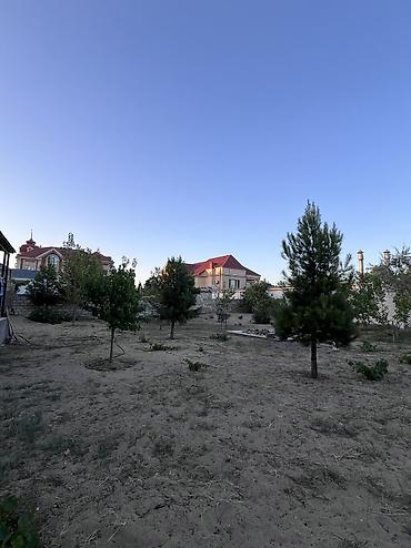 badamdarda satilan villalar: Bağ -11,3 sot sərin tərəf dəniz yaninda 5 dəq maşinan ev əla — 9