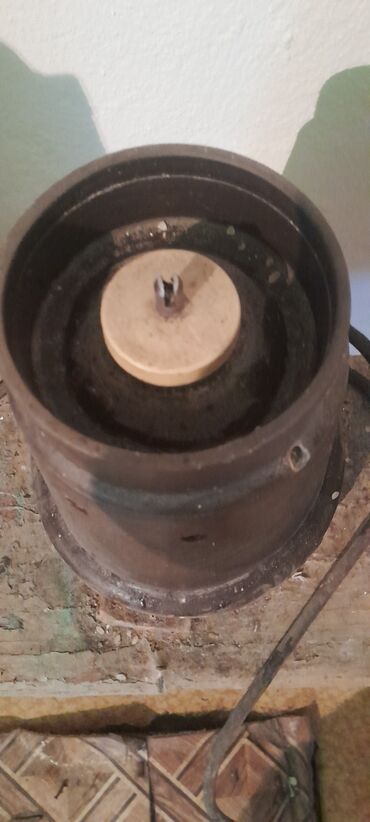 Коровы, быки: Продаю | Корова (самка), Музоо, торпок | Бельгийская | Для молока | Искусственник — 10