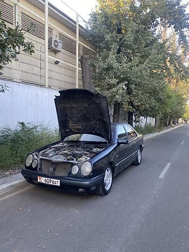 260: Mercedes-Benz E-Class: 1996 г., 2.3 л, Автомат, Бензин, Седан — 6