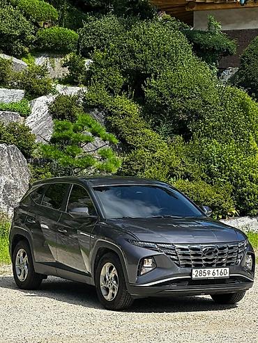 запчасти на туксон: Hyundai Tucson: 2022 г., Гибрид, Кроссовер — 1
