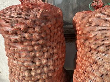 мука 50 кг цена бишкек: Продаю грецкие орехи кг 50 с
