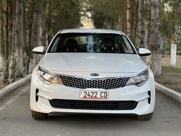 дисктер 14: Kia Optima: 2018 г., 2.4 л, Автомат, Бензин, Седан