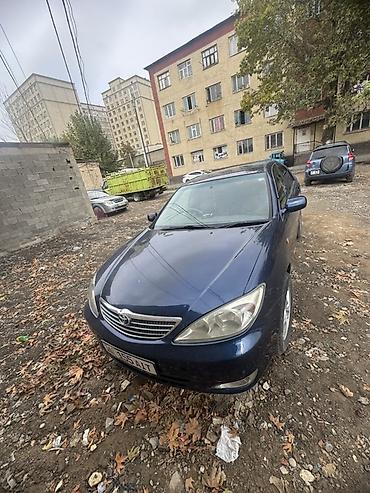 Toyota: Toyota Camry: 2004 г., 2.4 л, Автомат, Газ, Седан — 4