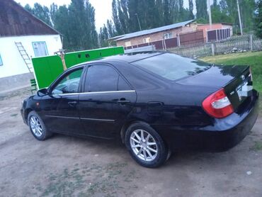 тойота камри 2005: Toyota Camry: 2003 г., 2.4 л, Механика, Бензин, Седан
