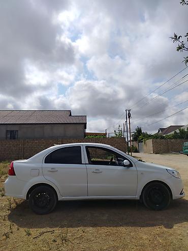 raf satilir: Ravon Nexia: 1.5 l | 2020 il 227000 km Sedan — 4