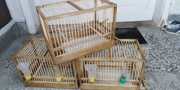 Životinje: Drveni kavez za ptice rucna izrada Novo Prodajem drvene kaveze za