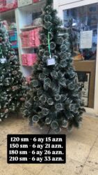 Yolka 120 sm - 6 ay 15 azn 150 sm - 6 ay 21 azn. 180 sm - 6 ay 26