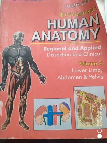 книга дорожного движения: Human Anatomy BD Chaurasia's

за все 1200с
