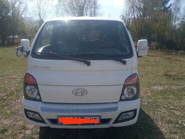 маленький манипулятор: Легкий грузовик, Hyundai, Дубль, До 1 т, Б/у