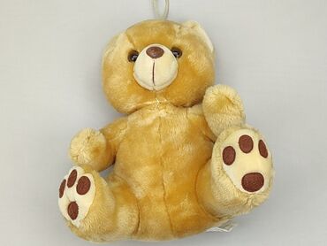Mascot Teddy bear, condition - Satisfying