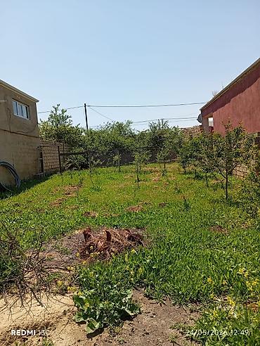 savalan torpag: 3 sot, Tikinti, Mülkiyyətçi — 1