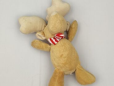 Mascot condition - Very good