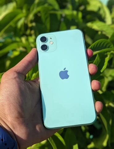 Qaşıqlar: IPhone 11, Yaşıl, Face ID