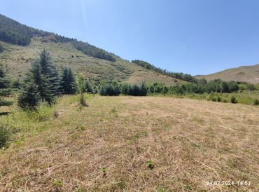 Продажа участков: 255 соток, Для сельского хозяйства — 6