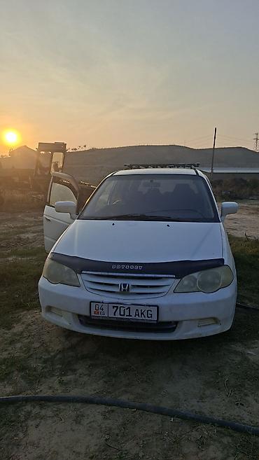 audi a5: Honda Odyssey: 2004 г., Автомат, Бензин, Минивэн — 4