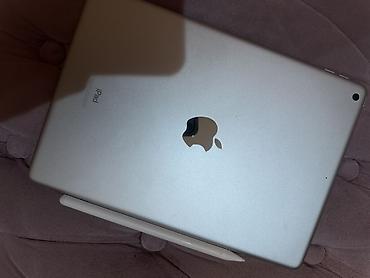 mini ipad: Apple iPad + Apple Pencil (1-ci nəsil) Americada alinib - Rəng: Gümüş — 1