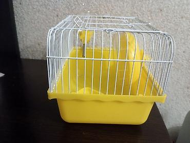 hamster satış: Hamster (xamyak) üçün qəfəs dəsti satilir. Dəstə daxildir: 1 eded su — 2