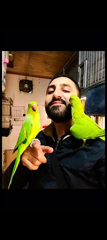 Her kese salam xahis edirem diqetli oxuyun bos bekar adamlar narahat