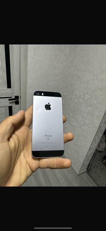 Apple iPhone: IPhone 5s, Б/у, 64 ГБ, Чехол