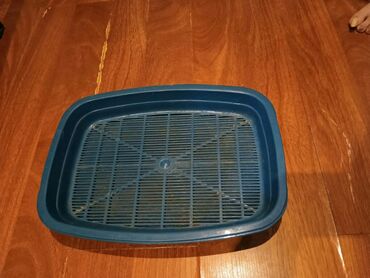 Heyvanlar üçün digər mallar: Shekilleri cevirin It ve pishikler ucun dirnaq tutan qayci tezedi — 5