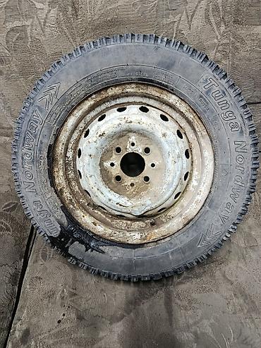 шына на нива: Колеса в сборе 175 / 70 / R 13, Зимняя шипованная, Б/у, 1 шт, Легковые, Железные, отверстий - 4 — 1