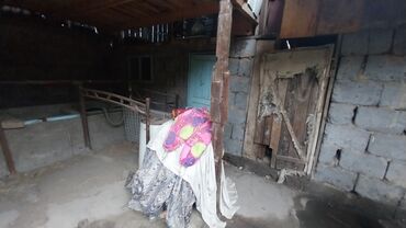 Продажа домов: Дом, 145 м², 4 комнаты, Собственник at lalafo.kg — 16 Продажа домов: Дом, 145 м², 4 комнаты, Собственник — 16