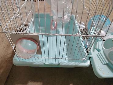 Клетки: Real alıcıya xüsusi endirim olunacaq! Hamster üçün tam set qəfəs - — 3