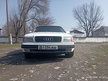 Audi: Audi 100: 1993 г., Седан — 11