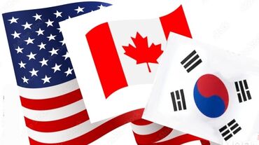 туристическая виза в сша: Международное агенство! Помощь в оформление визы. Рабочая виза в